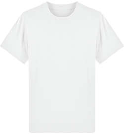 Tee Shirt épais Homme Bio Stanley SPARKER