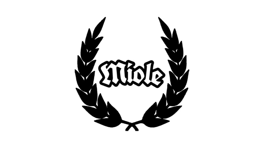 image-head