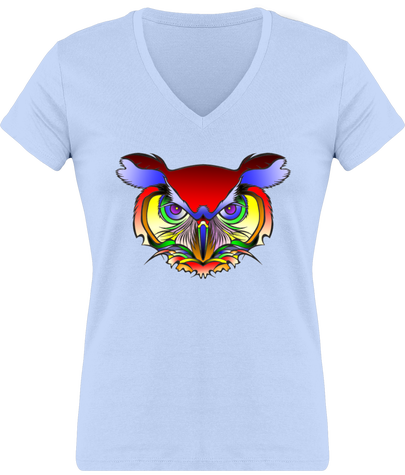 t-shirt illustration hiboux arc-en-ciel/entier