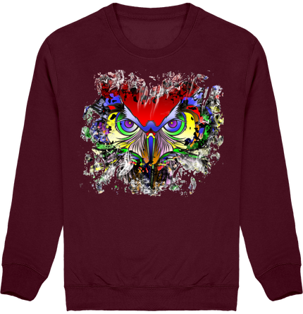 sweat illustration hiboux arc-en-ciel