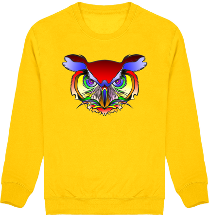 Sweat illustration hiboux arc-en-ciel/entier