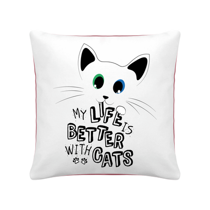 Coussin 