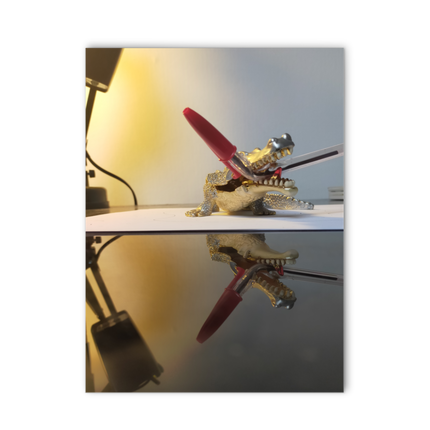 Mpt Crocostylospace 181723