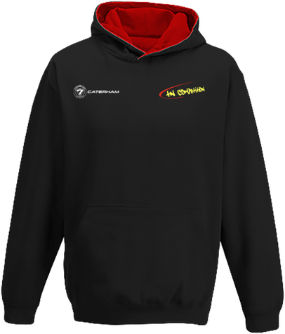 SWEAT capuche 