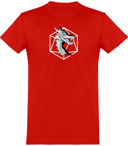 Dragon de dungons and dragons 3