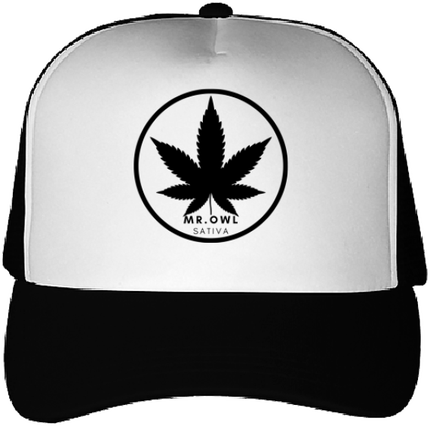 OwlSativa Cap 01