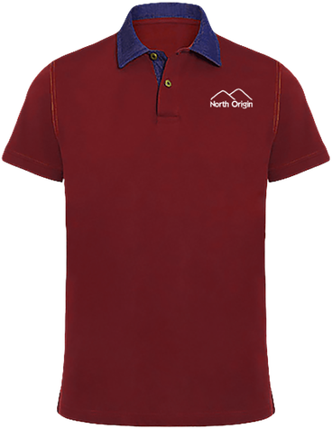 Polo bicolore North Origin
