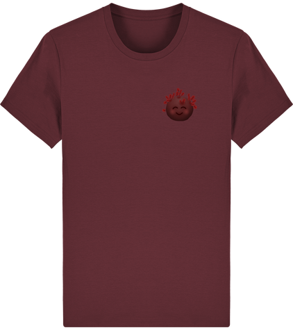 Cailloux Rainbow & Ami du Caillou T-shirt Unisexe