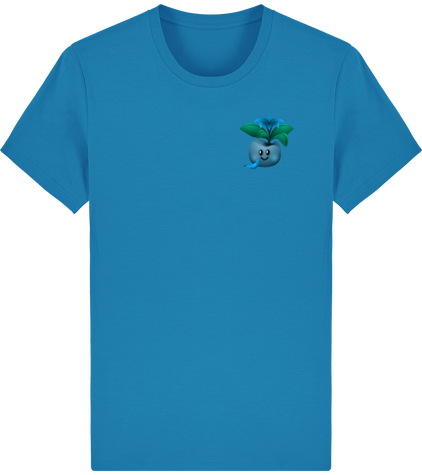Cailloux Rainbow & Correspondant du Caillou T-shirt Unisexe