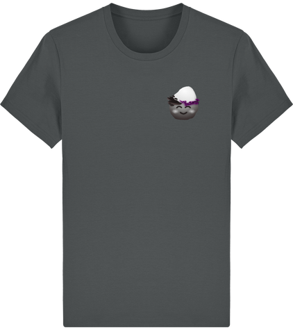 Caillou Flag Demi T-shirt Unisexe