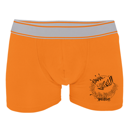 Boxer baracoucou