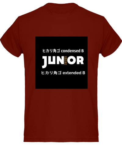 T-Shirt Homme Manches Courtes Classique 150 gr (Junior)