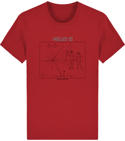 Tee-Shirt Alien Theory - Hello !!!