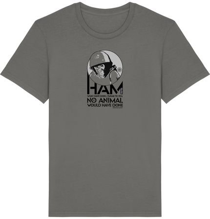 Tee-Shirt Ham - Alien Theory