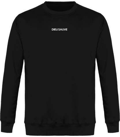Pull unisexe - DIEU SAUVE