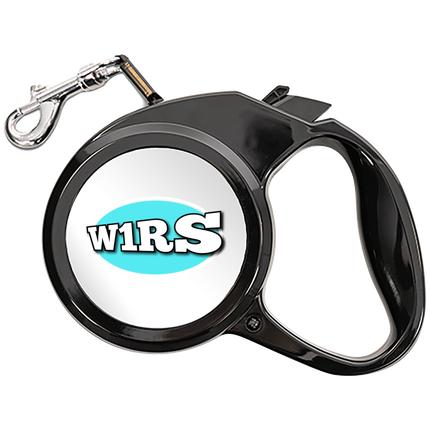 Laisse extensible pour chien