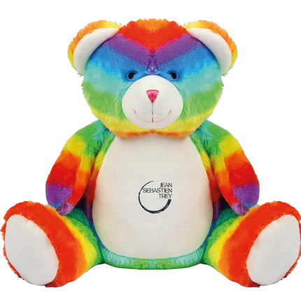 Peluche Ourson Arc en Ciel