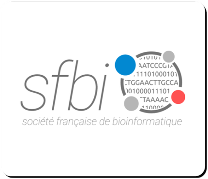 Tapis de souris - Version SFBI