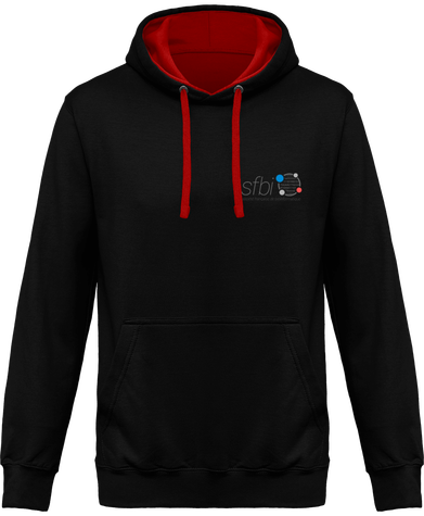 Sweat-shirt capuche - Version Pierre de rosette (motif à l'arrière)