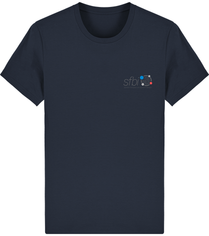 Tee-Shirt - Version Pierre de Rosette (motif à l'arrière)