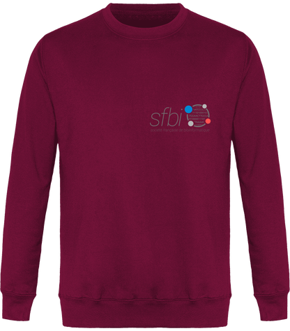 Sweat-shirt sans capuche - Version Forget princess (motif à l'arrière)