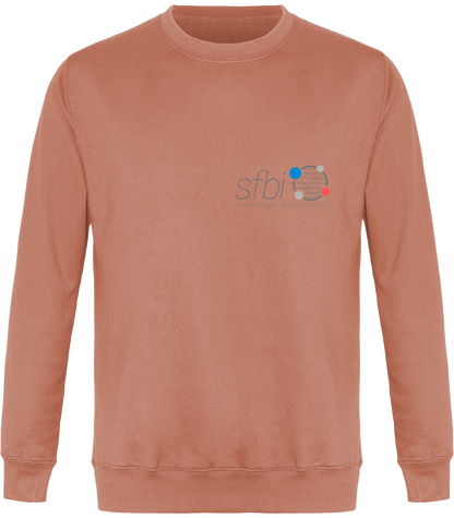 Sweat-shirt sans capuche - Version Pierre de rosette (motif à l'arrière)