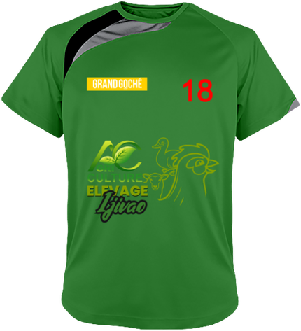 T-shirt Sport Manches GRAND GOCHE 