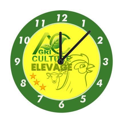 Horloge de la société Agriculture et élevage Ijivao 