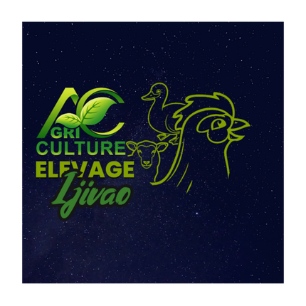 Boite a cadeau Agriculture et Elevage Ijivao 