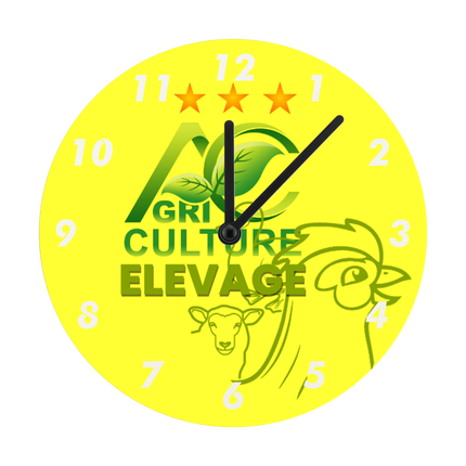 Montre Agriculture et Elevage Ijivao 