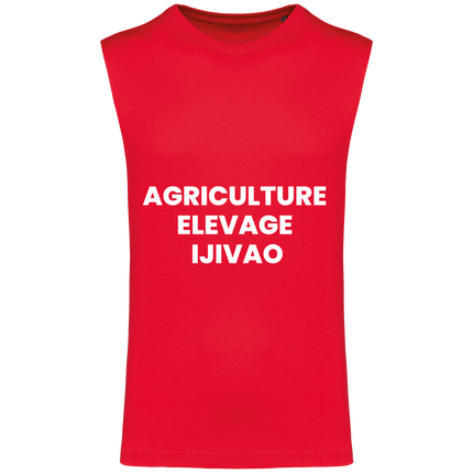 AEI IJIVAO