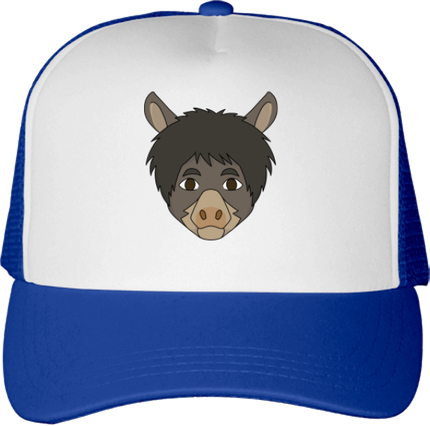 Casquette (âne)