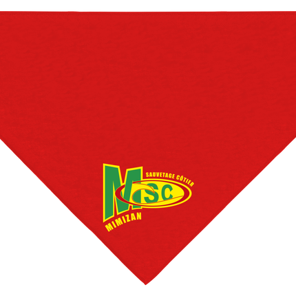 Foulard du club