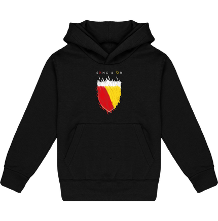 Supporter de Lens