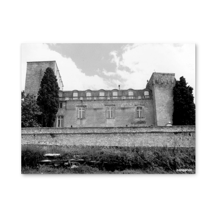 Tableau Le Château de Villevieille T2