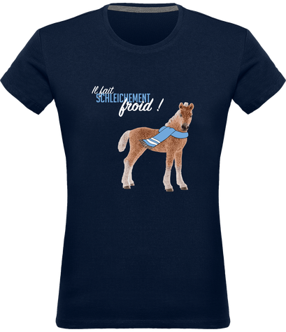 Froid Schleichant - Collection Hiver 2018