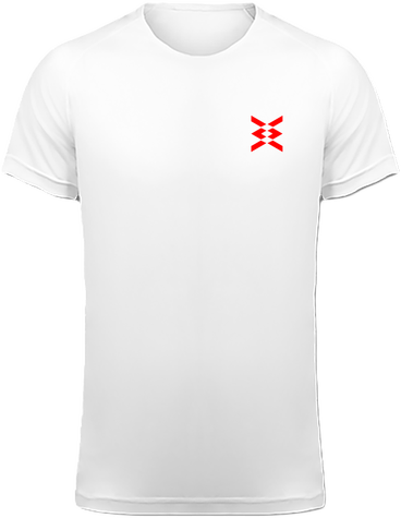 Tee-shirt Sport Homme