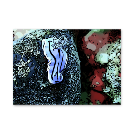 tableau Nudibranches cartoons