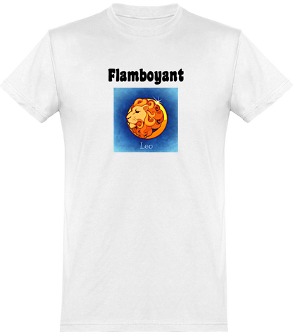 Tee Shirt ASTRO Pour Homme 