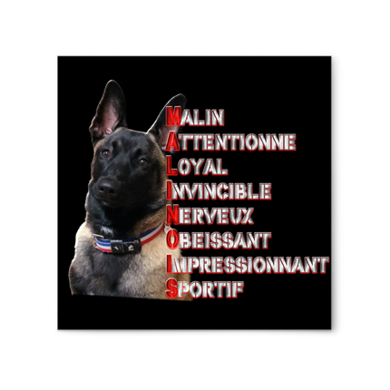 TABLEAU 30*30 MALINOIS