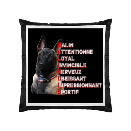 COUSSIN MALINOIS