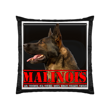 COUSSIN MALINOIS