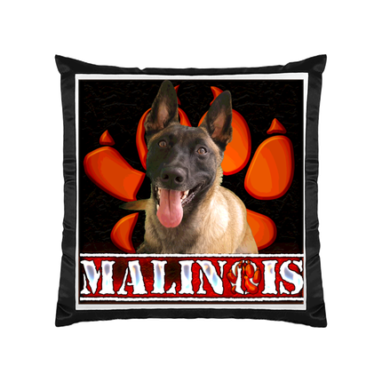 COUSSIN MALINOIS