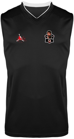 Maillot de basket Team LS ( Air Jordan remake)
