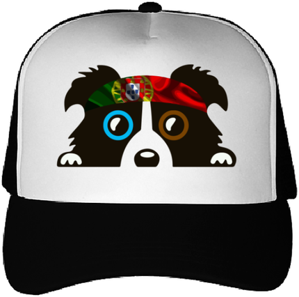 Cani casquette