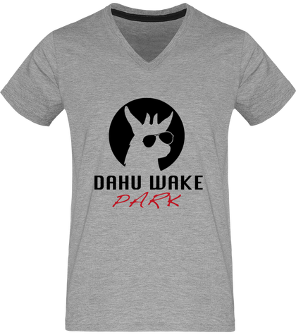 Tee-shirt homme DWP multicouleurs logo noir