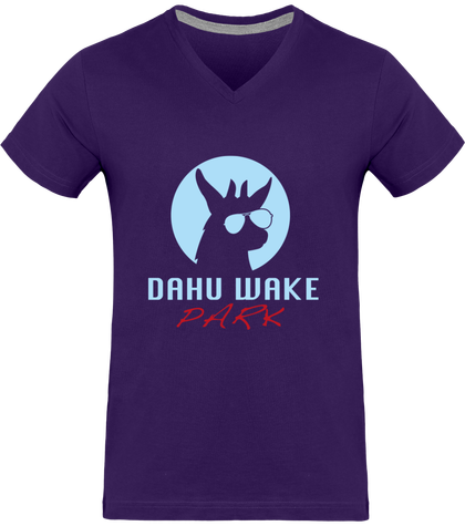 Tee-shirt homme DWP multicouleurs logo turquoise