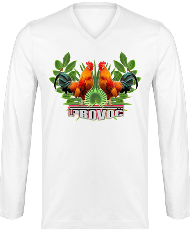 T-shirt Manches Longues Col V Homme PROVOC
