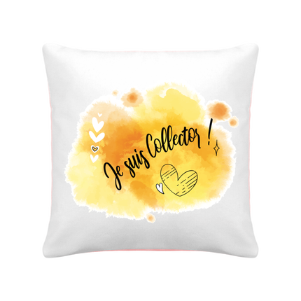 Coussin bicolore 