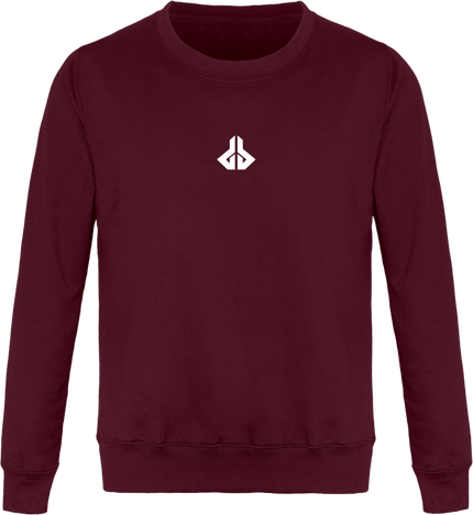 DSB Pull Mixte Logo blanc